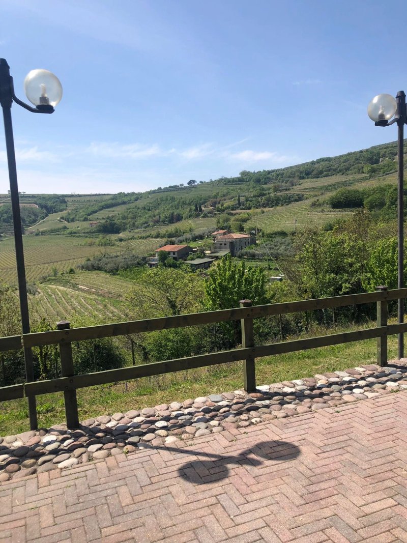 Tenuta Castellani