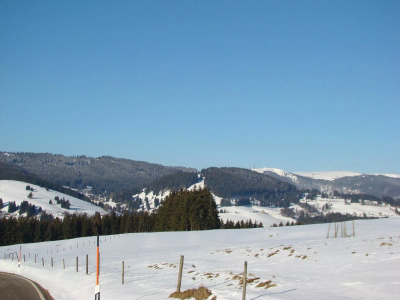 Schwarzwaldgasthof Gruener Baum