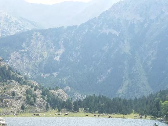 Campus Cerdanya