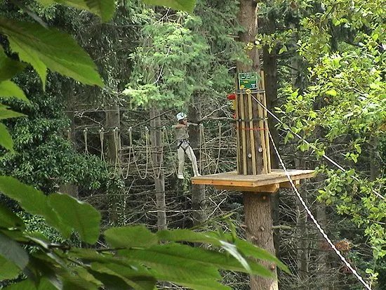 La Selva de l'Aventura
