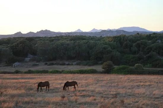 A Loghja Di Cavallo Morto