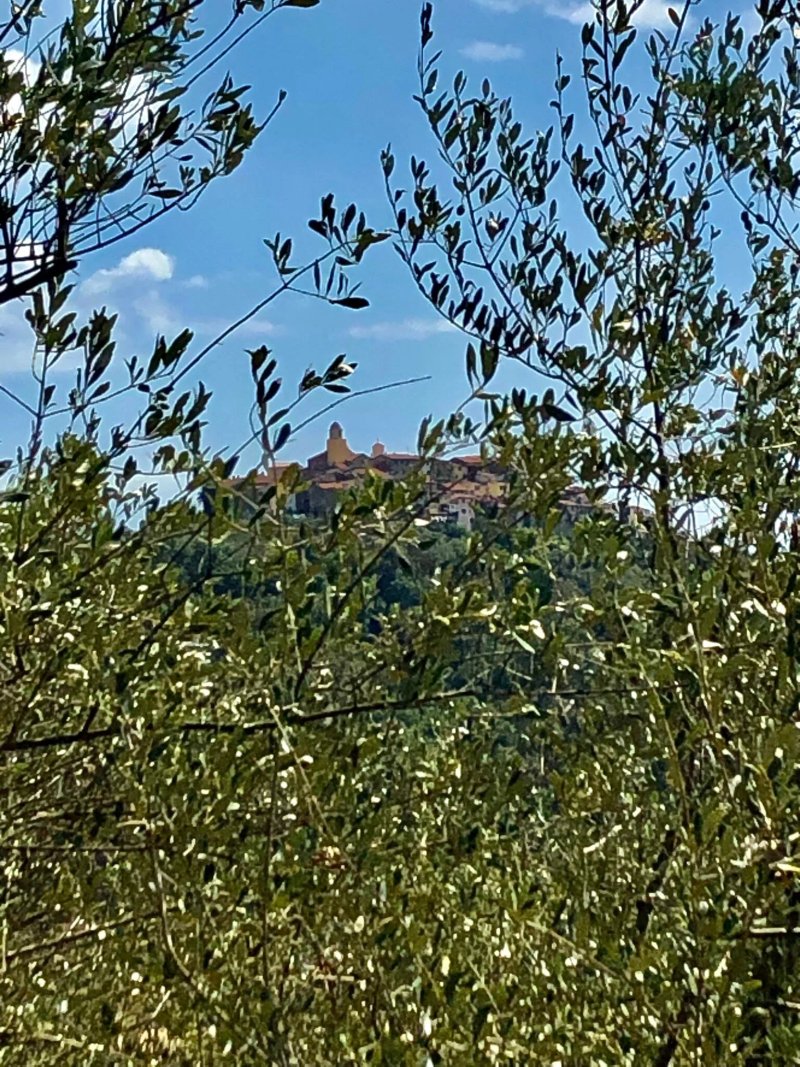 Agriturismo La Sarticola