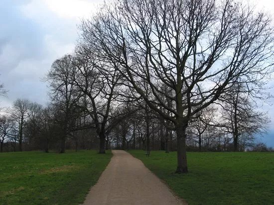 Hampstead