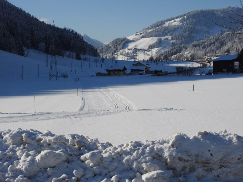 Hotel Moawirt