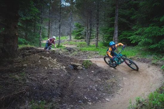 Tarland Trails - Pittenderich