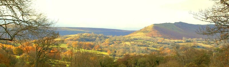 Little Trewern