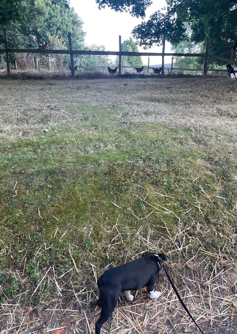 Ashe Farm Caravan and Campsite