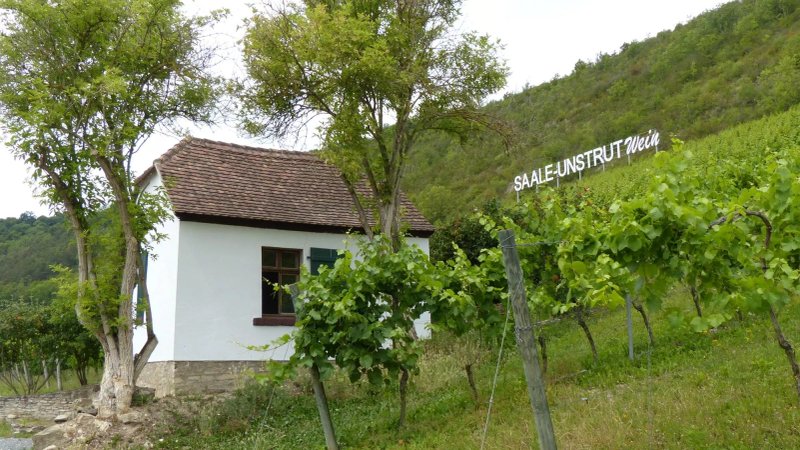 Saalhauser Weinstuben