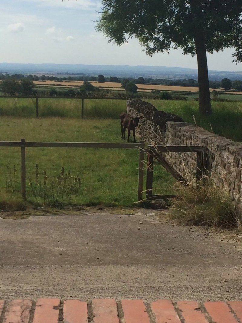 Grange Farm Country Guest House