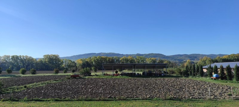 Fattoria Didattica Le Torte