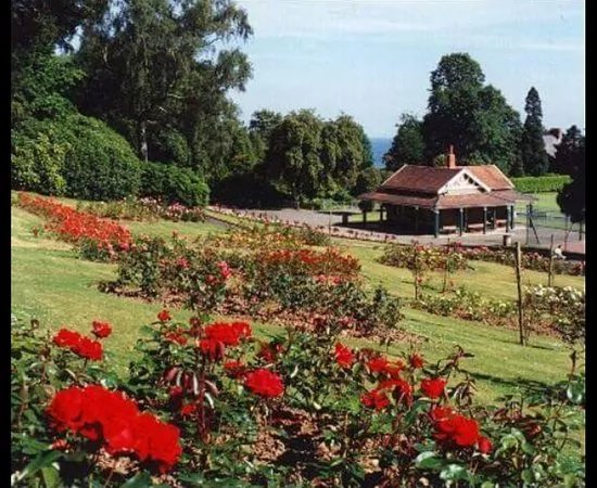 Cwmdonkin Park