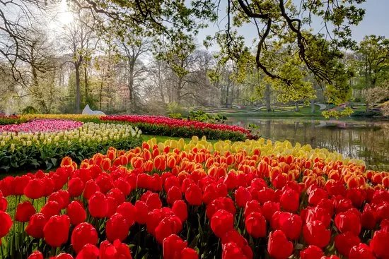 Alphen aan den Rijn