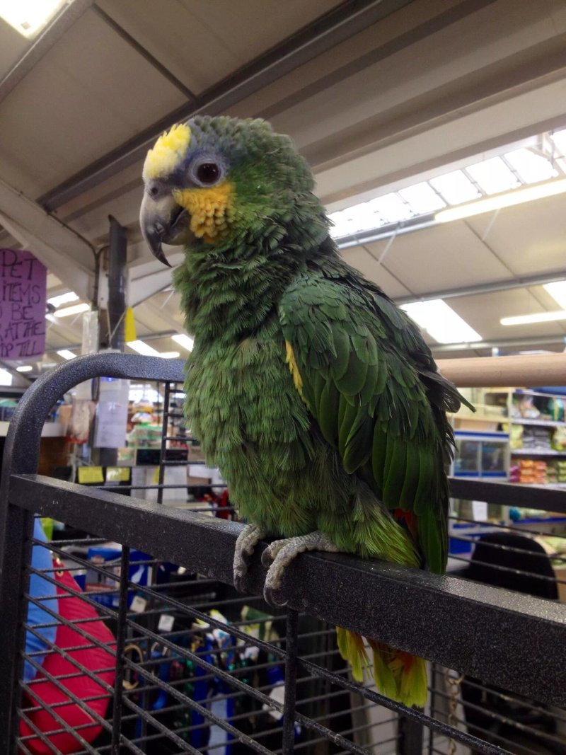 Seasons Garden Centre