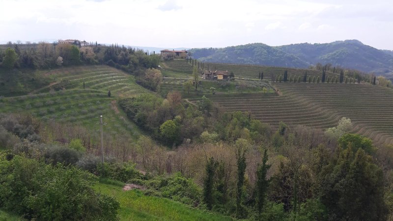 B&B Alla Torre Antica di D'Amico Angela
