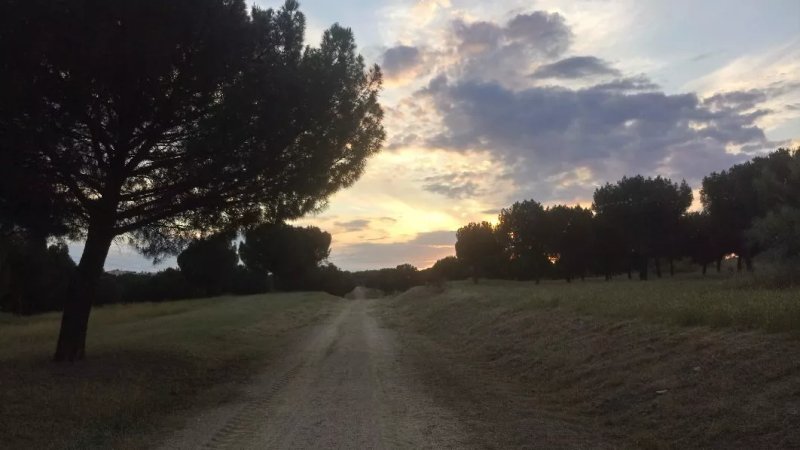 Parque Forestal Adolfo Suarez