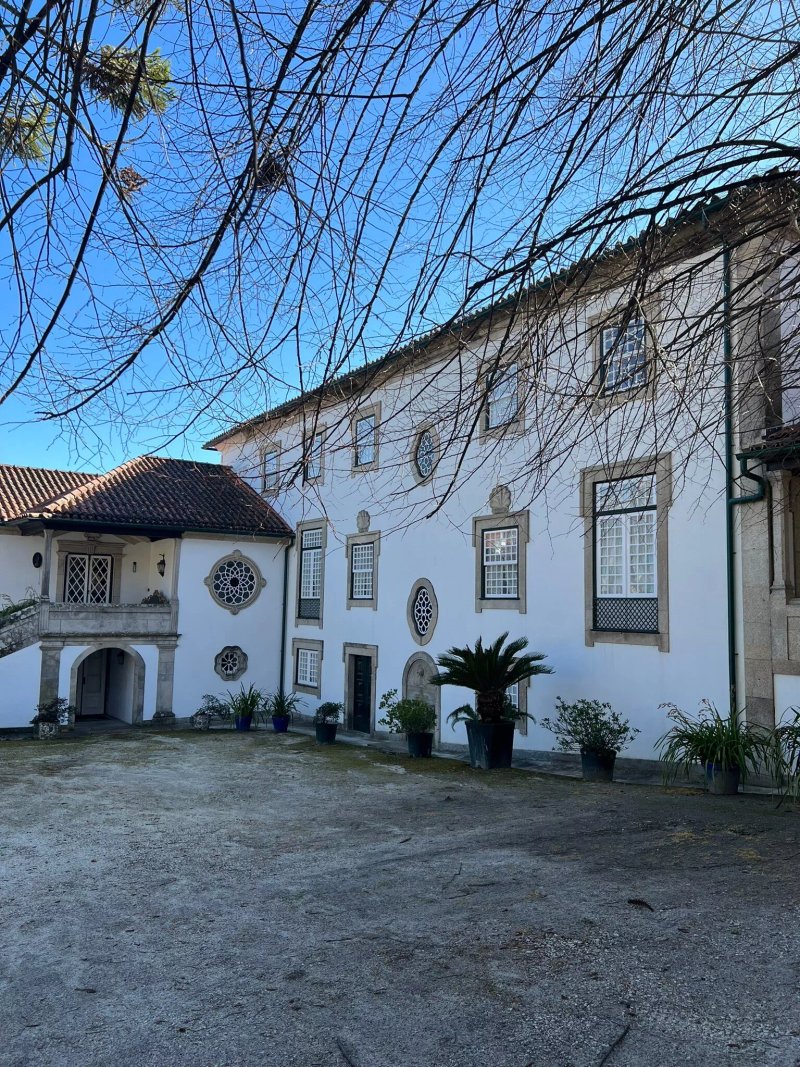 Douro Valley Tour: Wine Tasting, Lunch & River Cruise