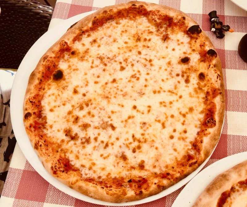 Palffy Italia