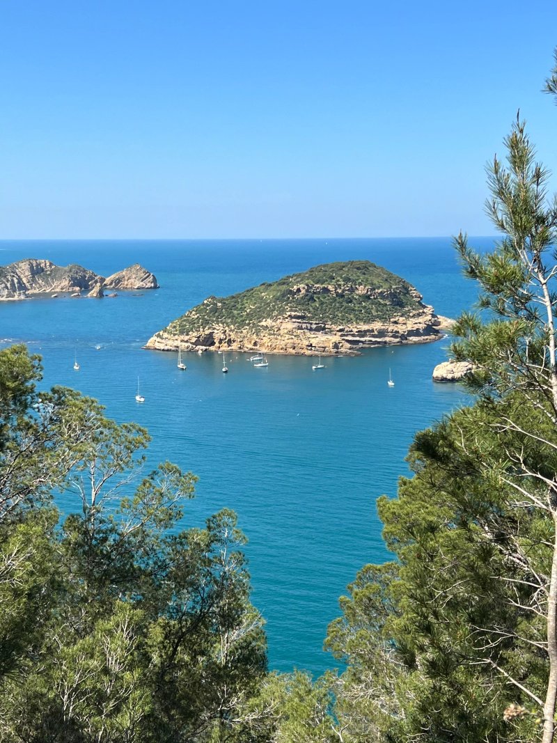 Cap Negre