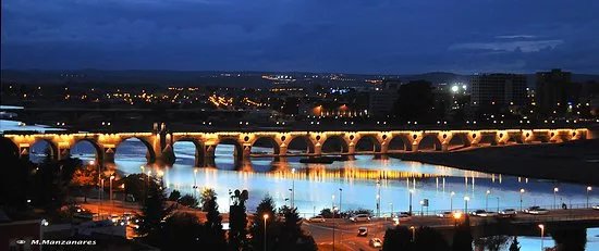 Puente de Palmas