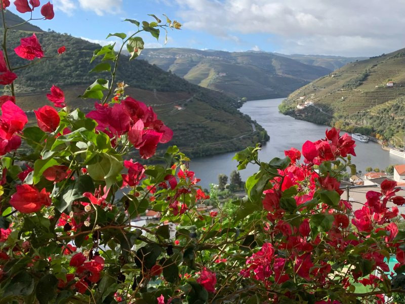 Quinta da Galeira