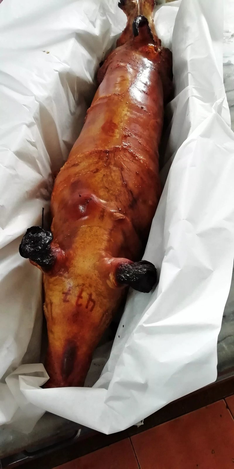 Nova Bairradina dos Leitoes