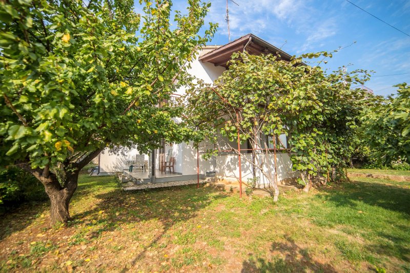 Apartments Villa Aleksandar