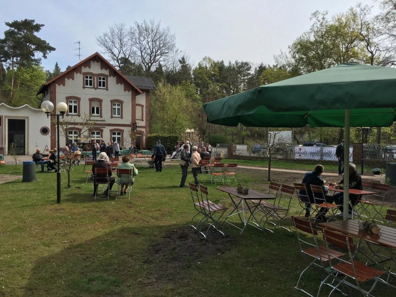 Waldidyll im Elsthal