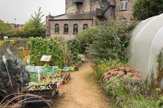 Ouseburn Farm