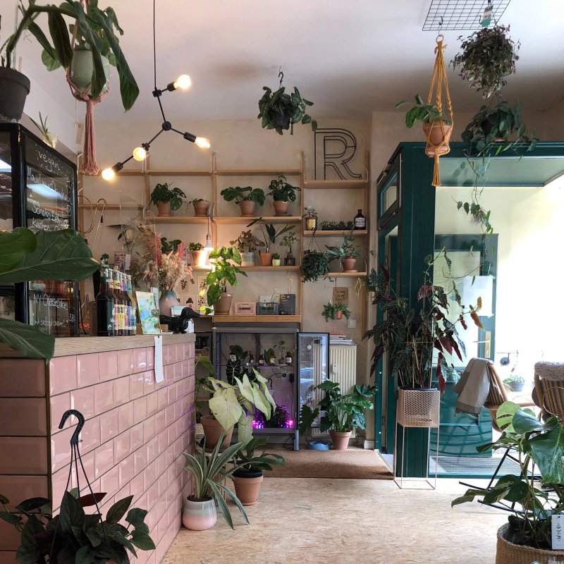 Roots - Pflanzencafe