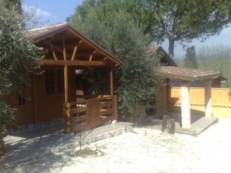 B&B Country Horses Club