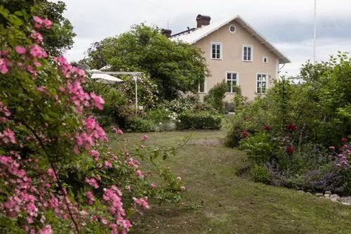Tradgardstrippen