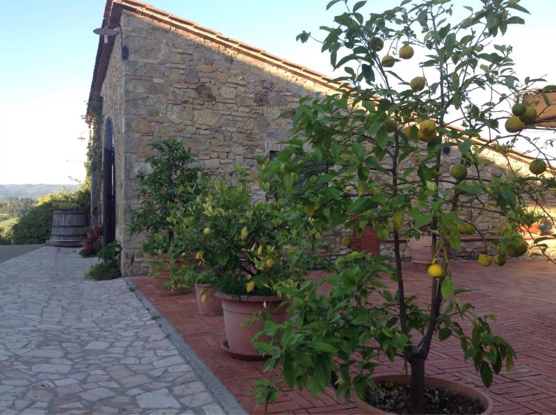 Azienda Agricola Montalpruno