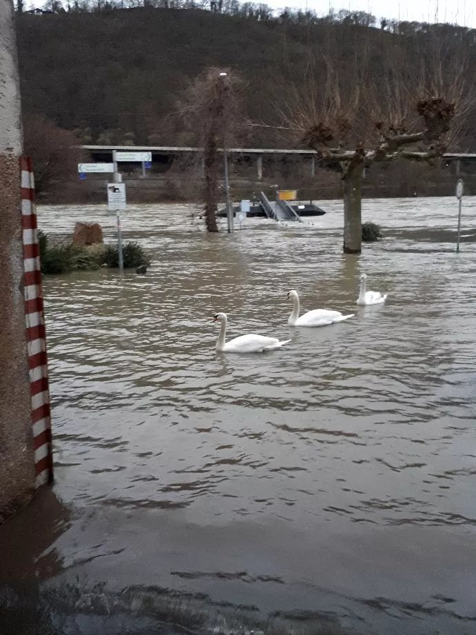 Pension Cafe Am Rheinsteig