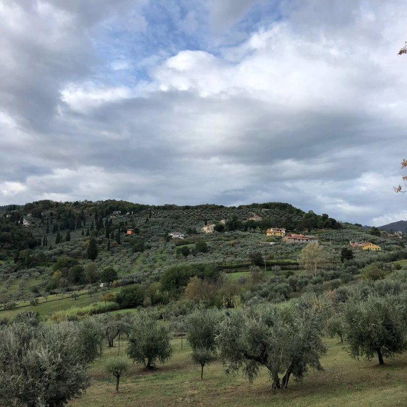 Agriturismo San Martino