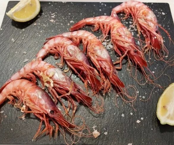 Neotaberna La Salada