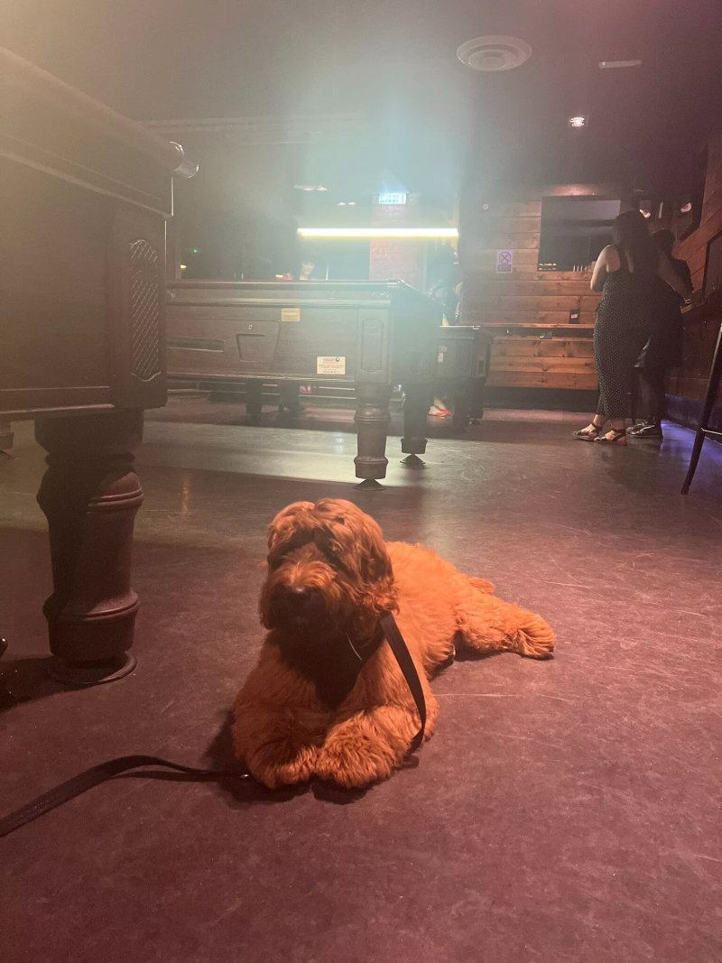 Blackdog Ballroom