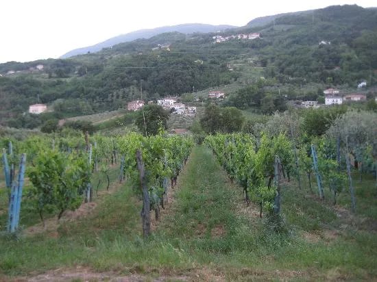 B&B Famiglia Galie