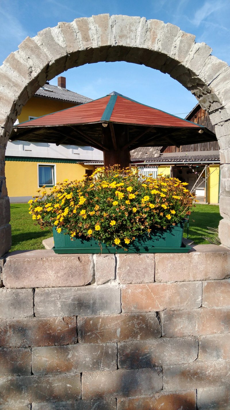 Gasthof Torwirt