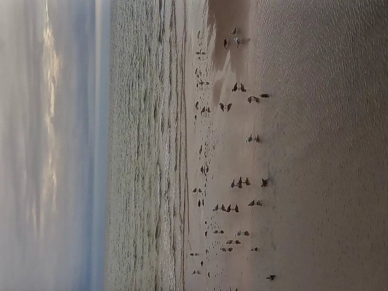 Coffee Coast
