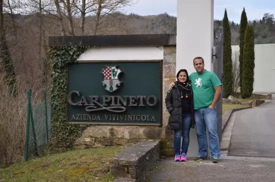 Carpineto