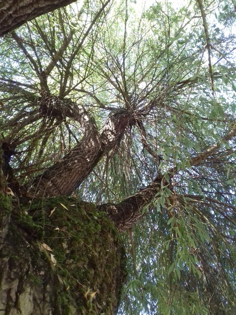 La Ferme aux Abeilles