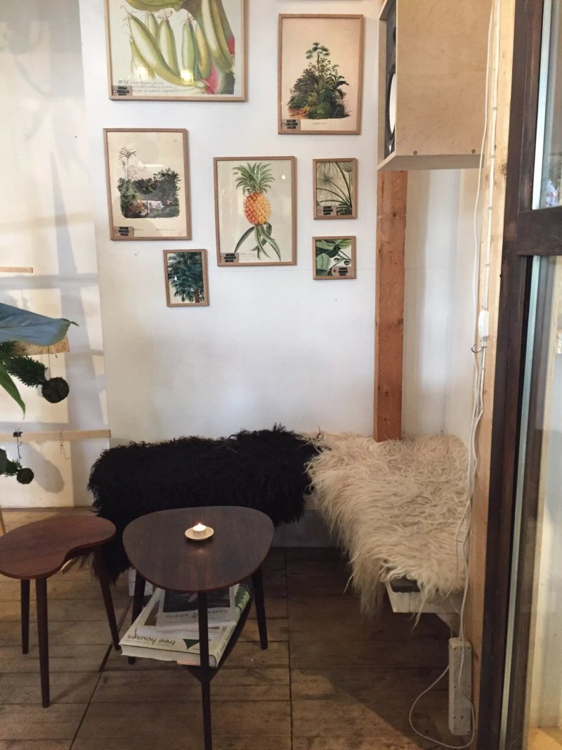 Plantecafeen