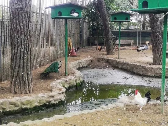 Il Villaggio delle Cicogne