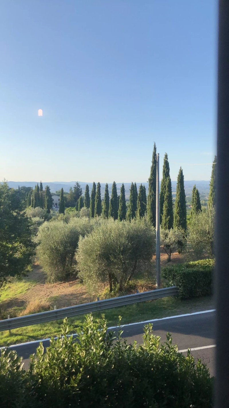 Agriturismo Podere Cottimellino - B&B in Val d'Orcia