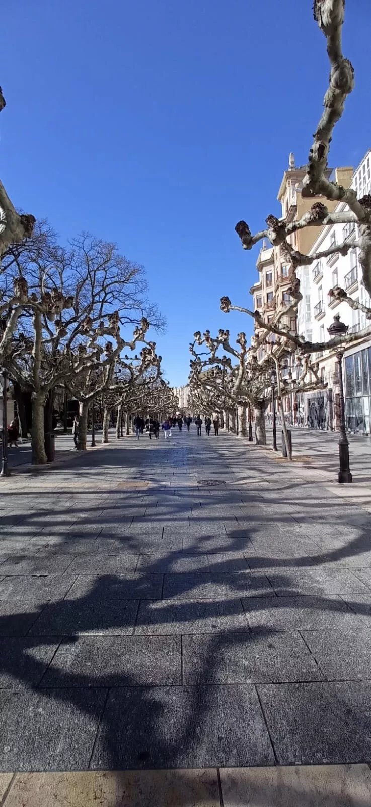 Burgos Tour