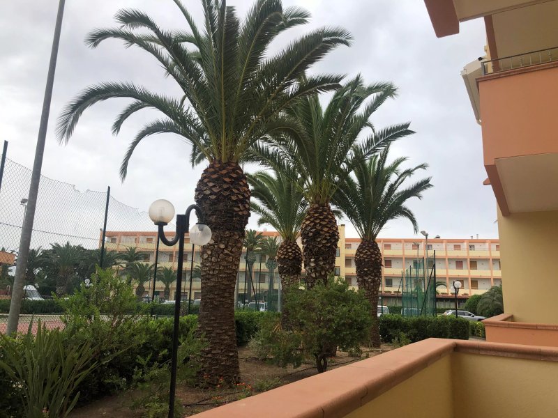 Residence Oasis