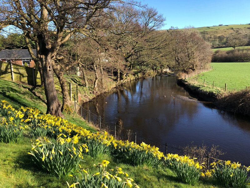 Millbrook Bed & Breakfast