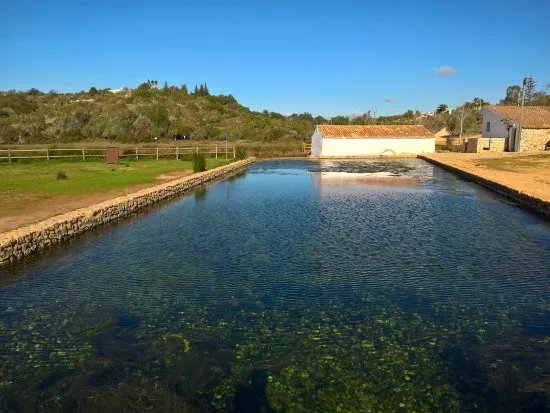 Municipal Park of the Springs