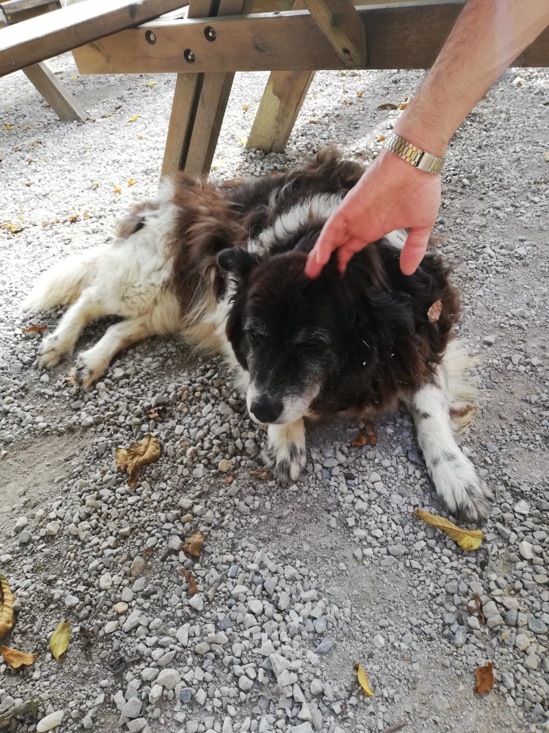 Cascina Bagaggera