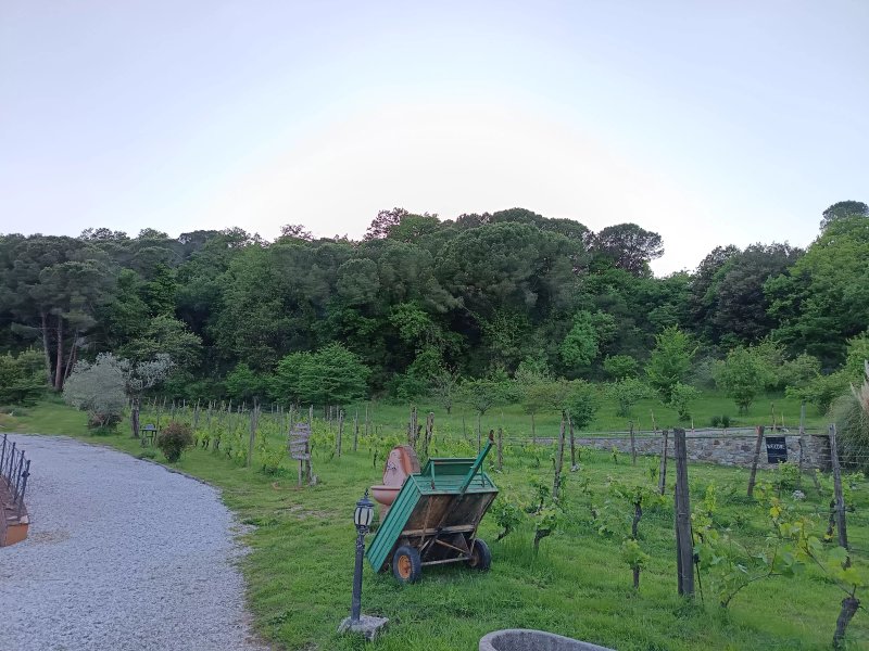 B&B Agriturismo Regno di Toscana